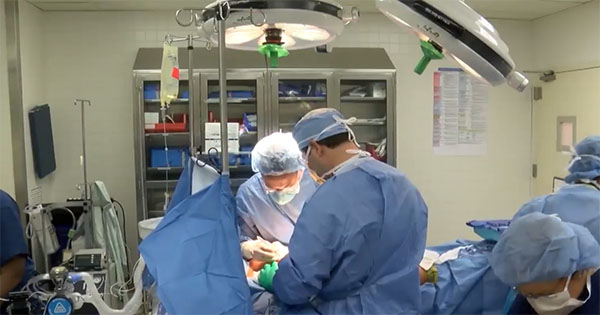 Surgeons report nearly 20 percent increase in number of transgender