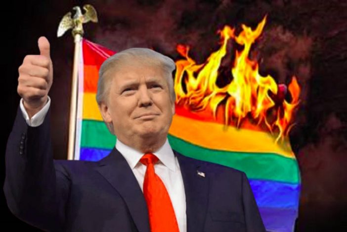 Nazi burning gay flag