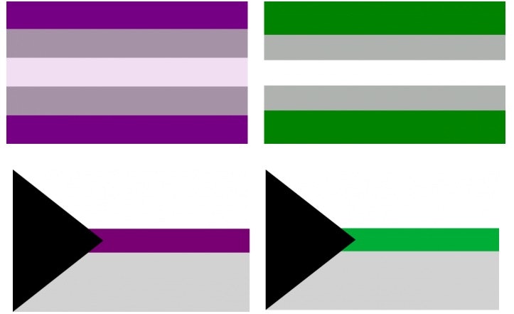 What Is Asexual Heres The Asexual Spectrum An Asexual Quiz And Everything Else Youre Curious 3008